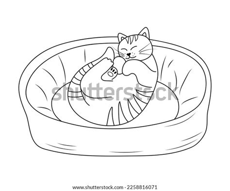 Cute Cat Sleeping Cat Bed Doodle Stock Vector Royalty Free 2258816071