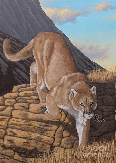 Montana Mountain Lion On The Prowl Painting By Tasha Franklin Fine