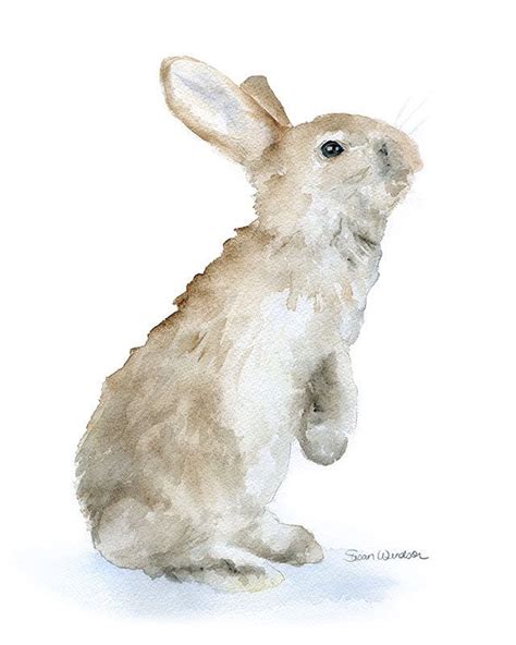Bunny Rabbit Watercolor Painting Giclee Print Reproduction Etsy