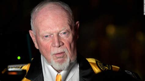 Don Cherry Canadian Sports Broadcaster Steps Down After On Air