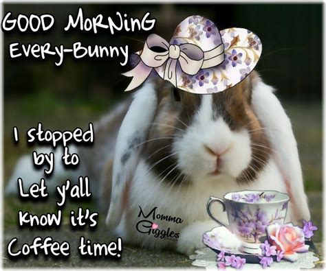 Good Morning Every Bunny Pictures Photos And Images For Facebook