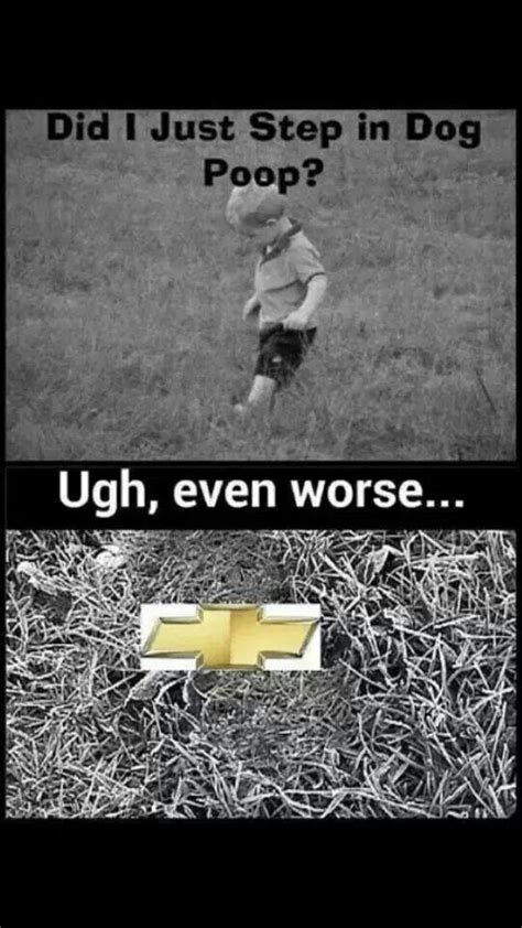 Did I Just Step in Dog Poop - Meme - The Mustang Source