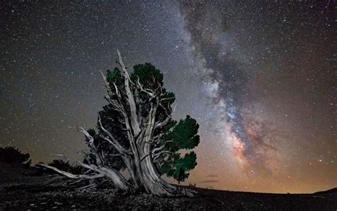 Where To Find The Darkest Skies In The Us For Serious Stargazing