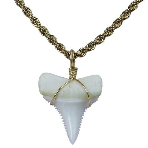 Buy Gemshark Real Shark Tooth Necklace 14k Gold 14 Inch Great White
