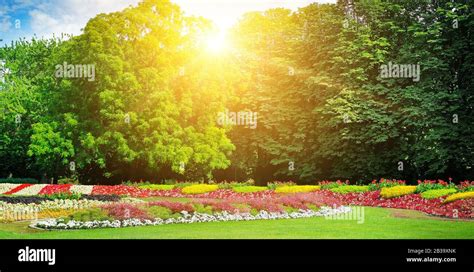 Summer Park With Beautiful Flowerbeds And Sun Wide Photo Stock Photo