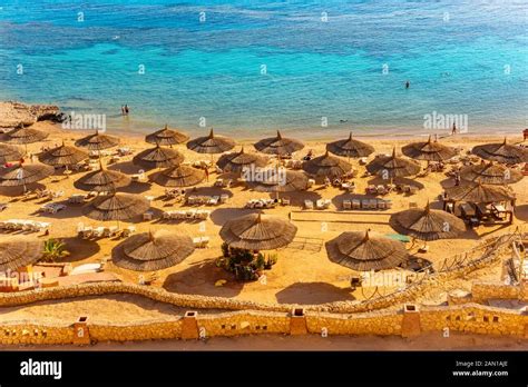 Red Sea Beach From Aerial Top View Tourists Relaxing Under Umbrellas