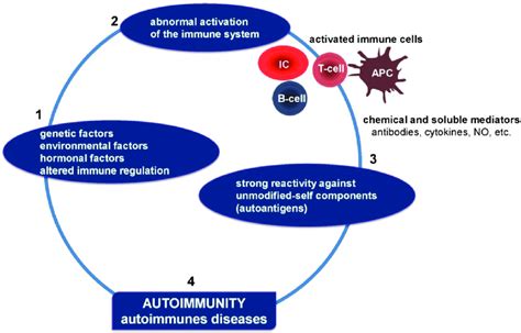Pathophysiological Mechanisms Of Autoimmune Diseases Autoimmune
