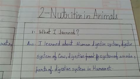 Class 7 Science Learner Diary Chapter 2 Nutrition In Animals Youtube