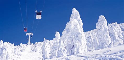 Zao Onsen Ski Resort Gday Japan
