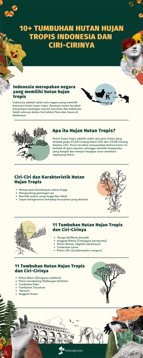 10 Tumbuhan Hutan Hujan Tropis Indonesia Dan Ciri Cirinya