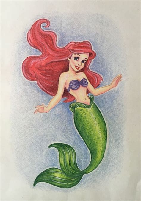 Drawing The Little Mermaid 127347 Animation Movies Pr