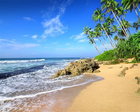 Download 1280x1024 Wallpaper Beach Sea Waves Tropical Beach Palm