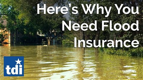 Why You Need To Get Flood Insurance Youtube