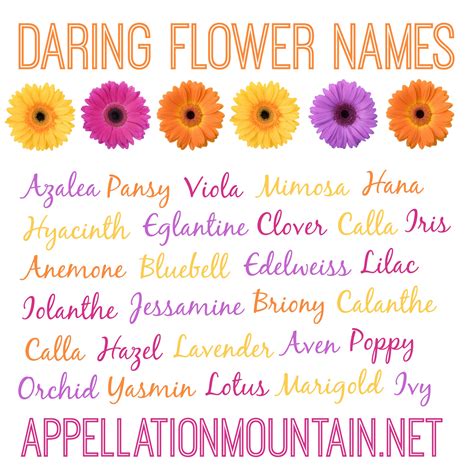 Ah as in mud (m.ah.d) ; Azalea and Edelweiss: Daring Flower Names - Appellation Mountain