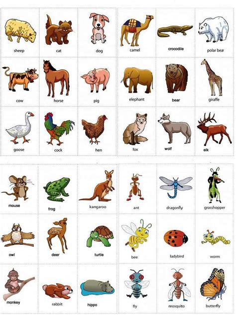 Lista De 150 Animales En Ingles
