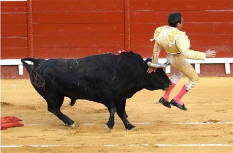 西班牙48岁斗牛士被撞飞，牛角狠狠扎进臀部，伤口长达10厘米腾讯新闻