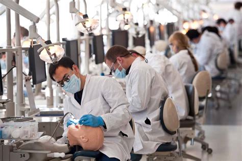 Dental School Requirements And How To Get Into A Top Dental School