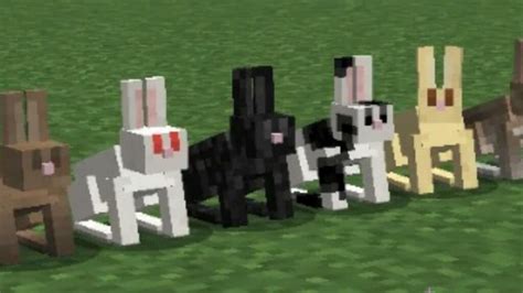Minecraft Rabbit Standort Drops Verwendungen Und Mehr Moyens Io