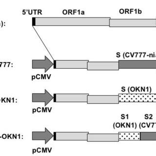 cv777 us