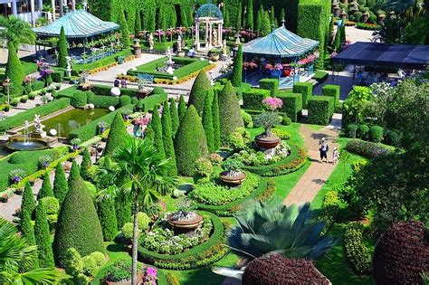 Guide To Nong Nooch Tropical Garden Pattaya Thailand 2023