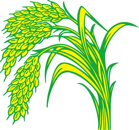 Rice Paddy Field Paddy Line Png Clipart Full Size Clipart 3546752