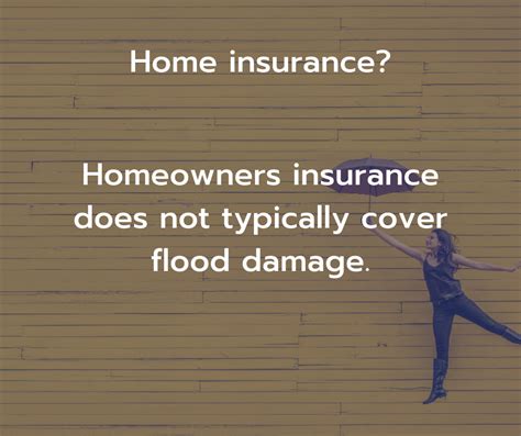 Your insurance agent advises you based off of the flood zone you are in, whether you are considered 'high risk' or not, and where to proceed from there (cost vs. Why Do I Need Flood Insurance? | National Flood Services
