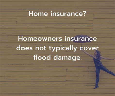 Your insurance agent advises you based off of the flood zone you are in, whether you are considered 'high risk' or not, and where to proceed from there (cost vs. Why Do I Need Flood Insurance? | National Flood Services