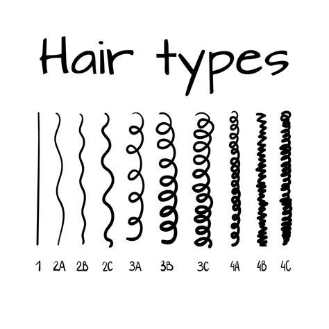 2c Vs 3a Hair Top Differences Best Products And How To Find Your