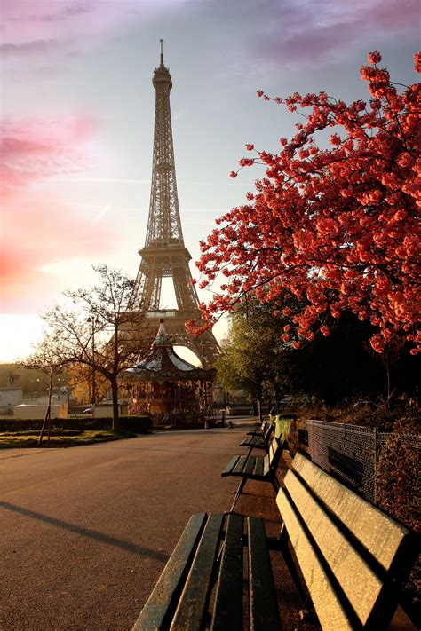 Beautiful Park On A Background Of The Eiffel Tower Wallpapers And