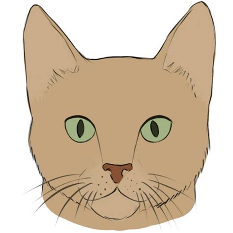Drawing Of A Cat Face