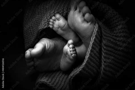 Newborn Baby Feet Stock Photo Adobe Stock