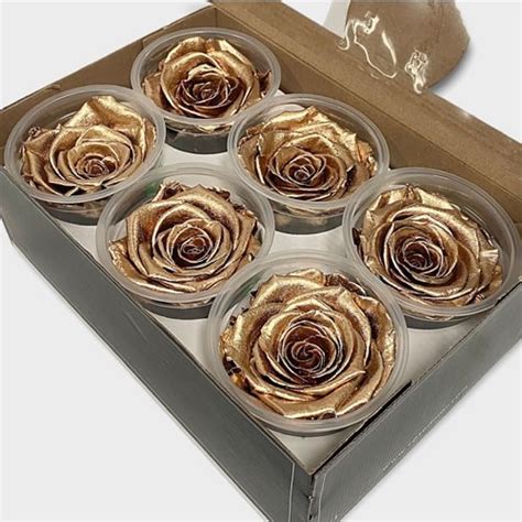 Luxury One Year Preserved Roses Gold Xl Preserved Rose Heads Uk