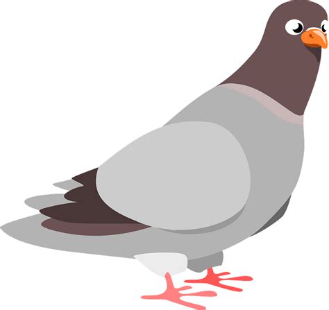 Pigeon Clipart Free Download Transparent Png Creazilla