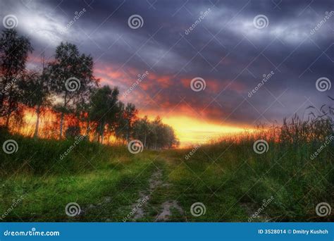 Foggy Sunset Stock Photo Image Of Cold Reflected Clouds 3528014