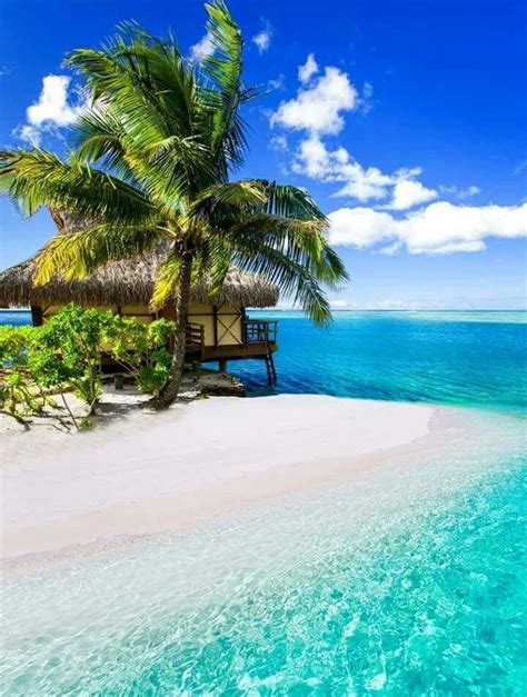 Tahiti French Polynesia In The South Pacific Ocean Dream Vacations