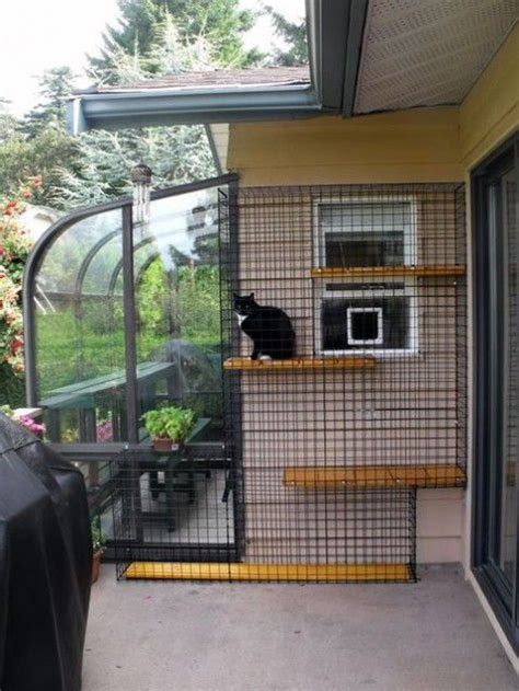 What cat doesn't like to look out the window or take a nap in the sun? 51 Outdoor Cat Enclosures Your Cat | ComfyDwelling.com ...