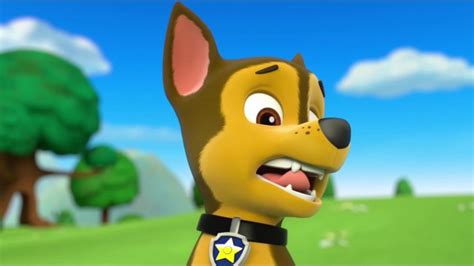 Paw Patrol Pups Save A Toof