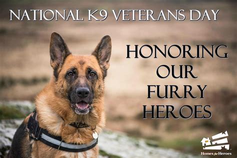 National K9 Veterans Day Honoring Our Furry Heroes Hfh
