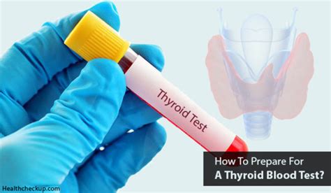 How To Prepare For A Thyroid Blood Test Health Checkup