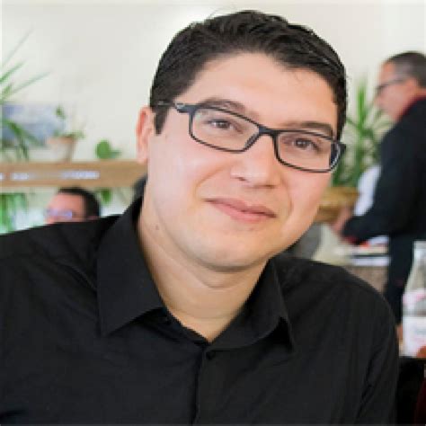 Gharbia governorate is one of the governorates of egypt. Ing. Sami Gharbia - automotive hardware engineer - AKKA | XING