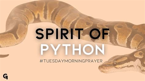Tuesday Prayer The Spirit Of Python Mario J Radford Youtube