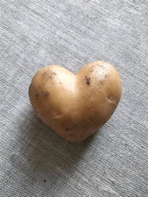 I Ve Found This Heart Shaped Potato In My Garden R Mildlyinteresting