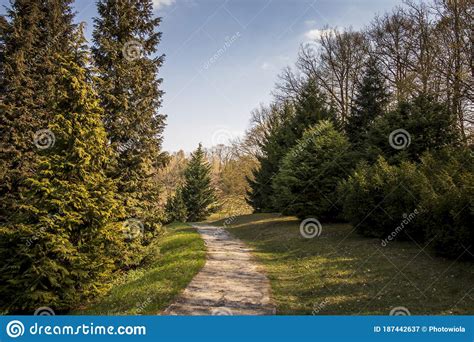 Green Spring In The Park Stock Image Image Of Outdoor 187442637