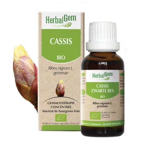 Cassis Bio Mac Rat M Re Bourgeons Flacon Ml Herbalgem