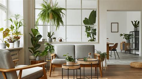 Aesthetic Indoor Plants That Will Upgrade Your Home Style Glam