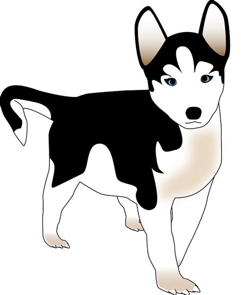 Husky Puppy Clipart Free Download Transparent Png Creazilla