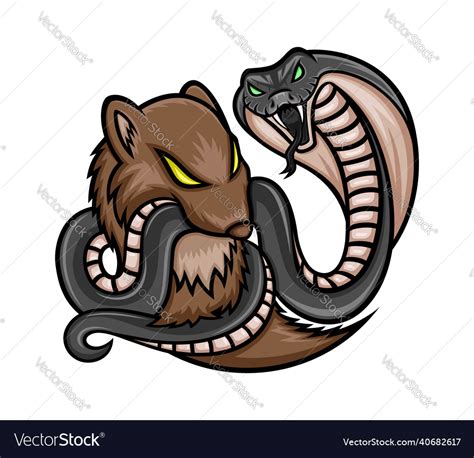Mongoose And Cobra Royalty Free Vector Image Vectorstock