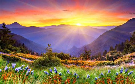 Awesome Sunset Sun Rays Forested Mountains Beautiful