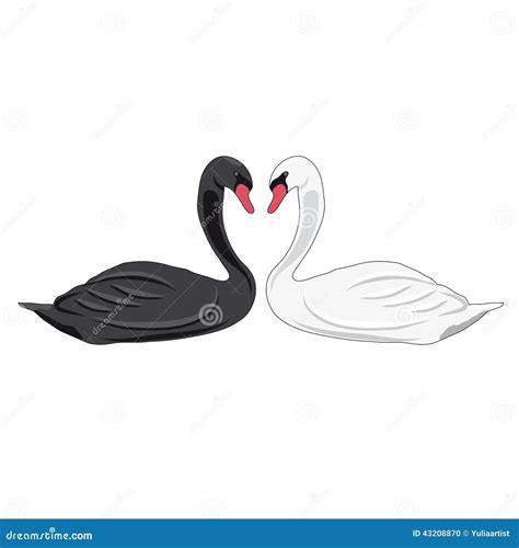 Illustration Of Swans Stock Vector Illustration Of Elegant 43208870