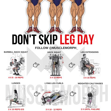 leg day exercise workout musclemorph musclemorphsupps leg workouts for men full leg workout